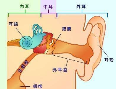 助听器知识