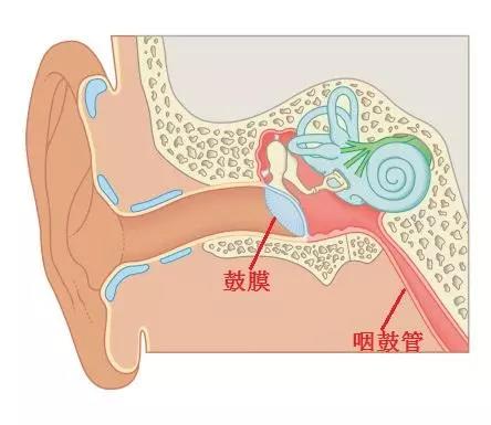 听力知识