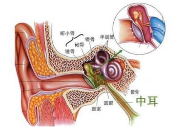 中耳炎听力下降是什么原因造成的