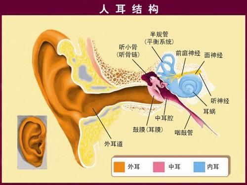 专家解析噪声性听力损失